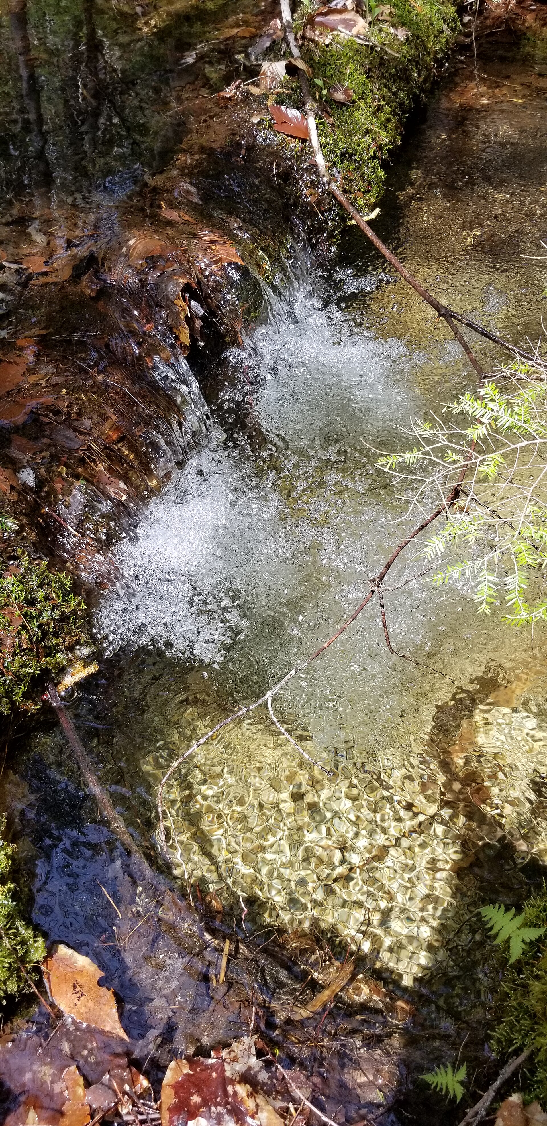 A brook cascade tumbling over rocks into a clear pool amid moss and forest in Baxter State Park, Maine
