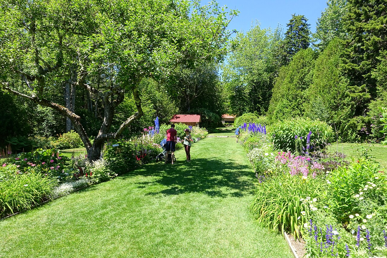 Thuya Garden on the hillside above Northeast Harbor, Maine