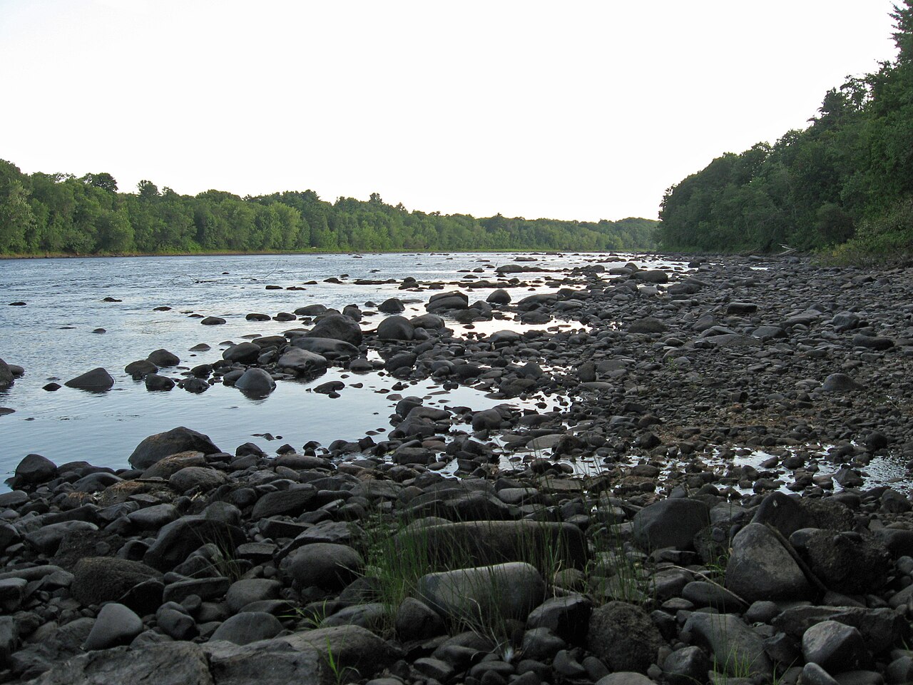 The rocky shoreline of the Penobscot River near Old Town, Maine, with forested banks