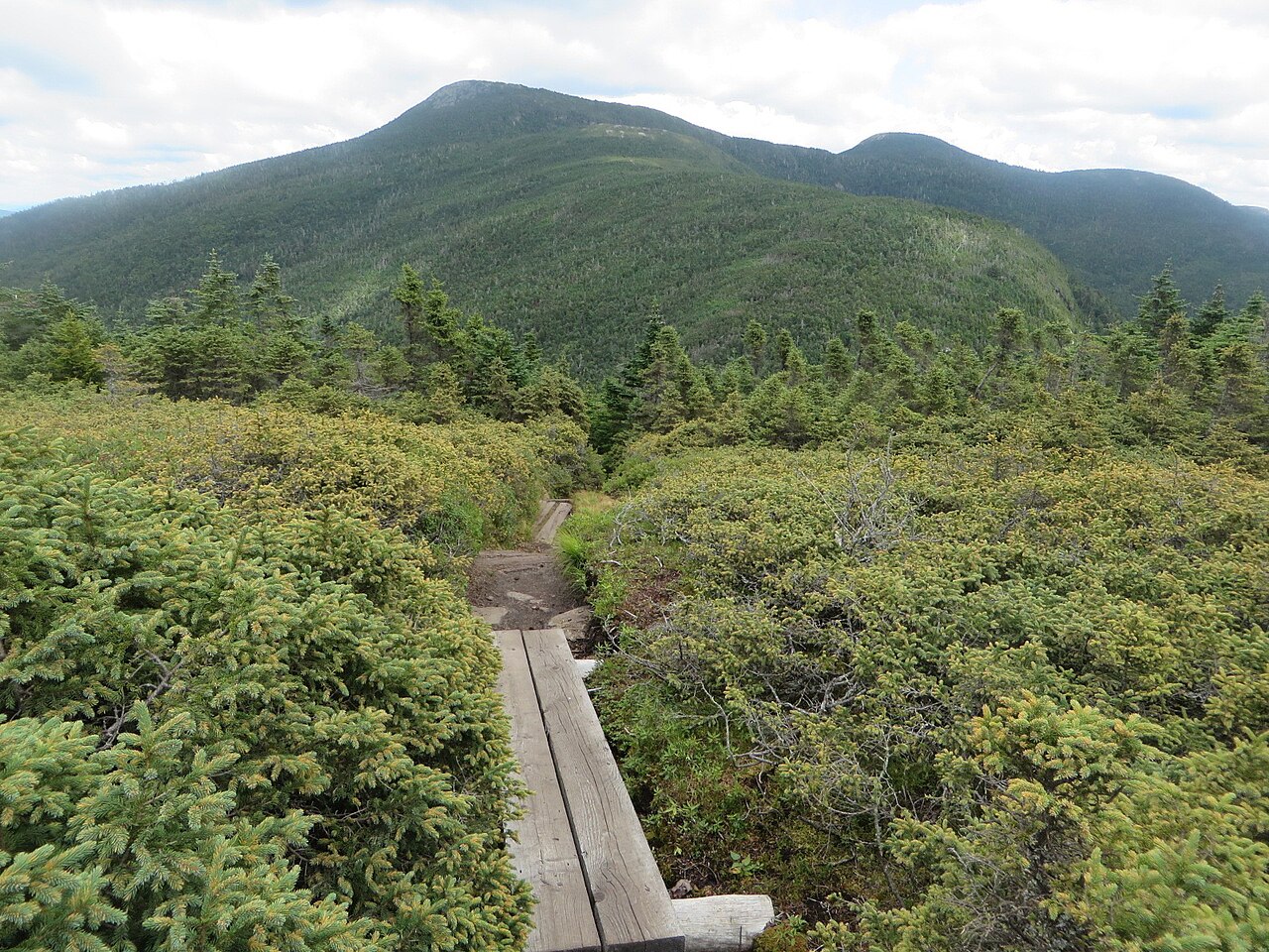 A mountain trail with a bog bridge leading toward a forested summit in western Maine